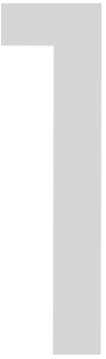N1